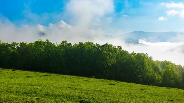 Green Blue Landscape Mountains Grassy Meadow Forest Hill Fog Valley — Stock Photo, Image