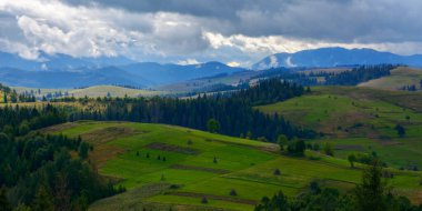 Sonbaharın başında Karpatya kırsal arazisi. Tepelerdeki yeşil tarlalar ve ormanlar. Bulutlu bir günde harika bir kır manzarası.
