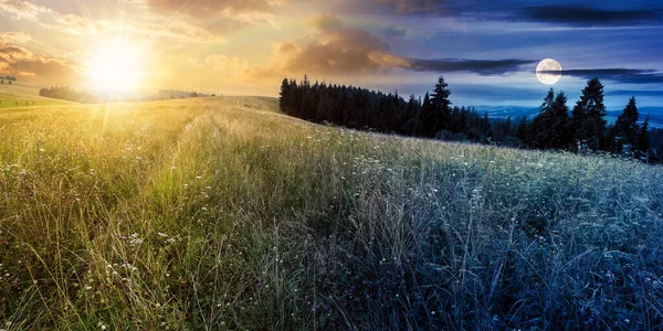 Day Night Time Change Concept Carpathians Coniferous Forest Grassy Hill — Stock Photo, Image