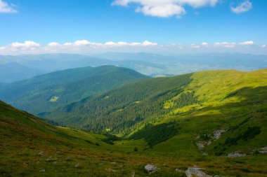 Karpat Dağları 'nın tepeleri ve çayırları. Güneşli bir günde yeşil yamaçlı yaz manzarası. Uzakta kabarık bulutlar olan bir gökyüzünün altında