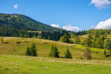 rural landscape in mountains. grassy pastures on the rolling hills near the forest. warm sunny day in autumn