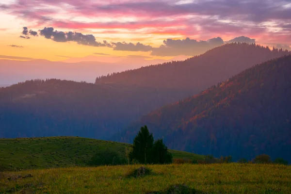 日没時にカルパチアの田舎 緑の芝生の丘や草原が遠くの谷に広がっています ボルツハヴァ山脈の空の下で夜の光の中で — ストック写真