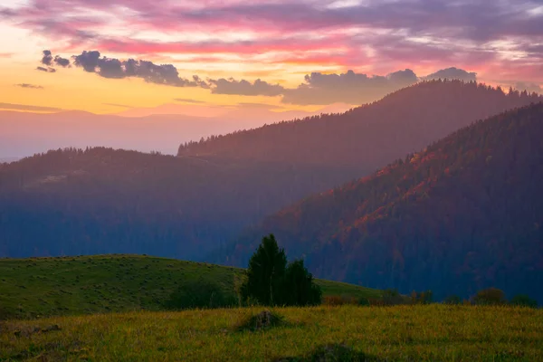 Karpaten Bij Zonsondergang Groene Grazige Heuvels Weiden Rollen Het Verre — Stockfoto