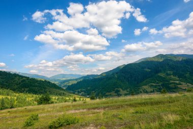 Yazın Karpat Dağları 'nın güzelliği. Güneşli bir günde harika bir yeşil kır manzarası. Ormanlık tepeler ve çimenlik çayırlar mavi gökyüzünün altında pofuduk bulutlar