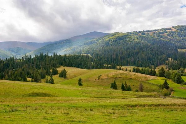 Cenário Rural Montanhoso Setembro Árvores Prados Gramados Nas Colinas Cume — Fotografia de Stock