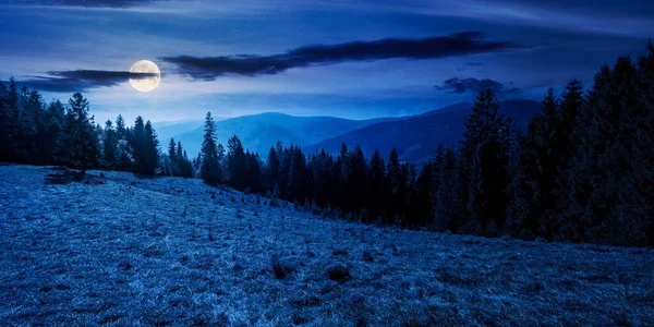 Landschaft Mit Nadelwald Bei Nacht Schöne Naturkulisse Vollmondlicht Wunderschöne Karpaten — Stockfoto