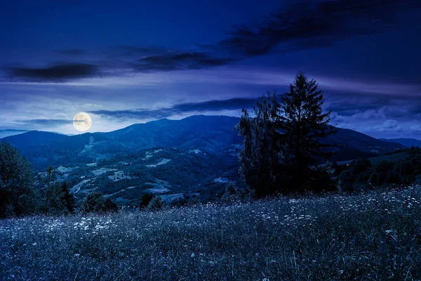Geceleri Çimenli Bir Kırsal Alanda Ağaç Dağlarda Çayır Olan Manzaralı — Stok fotoğraf