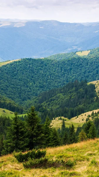 Forested Hills Carpathian Mountain Landscape View Distance Cloudy Sky Sunny —  Fotos de Stock