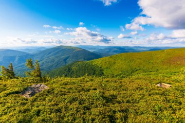 green mountain landscape. summer nature scenery with summit in the distance. beautiful view in morning light