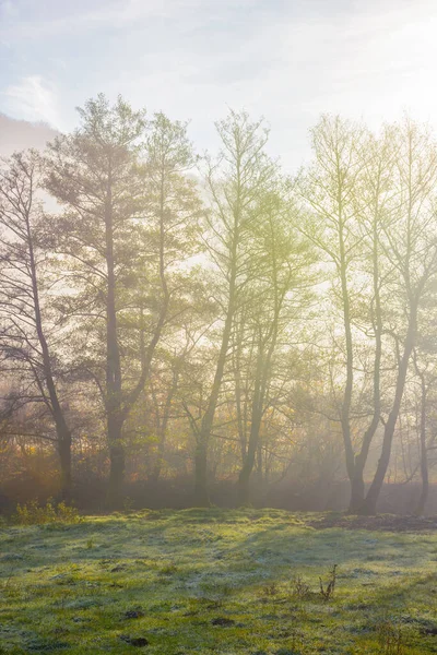 Paisaje Rural Amanecer Brumoso Maravilloso Paisaje Otoño Naturaleza Luz Mañana — Foto de Stock