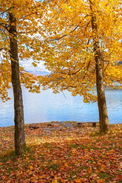 湖の岸に木がある 秋の晴れた午後 山の中の美しい風景 ふわふわの雲の空 — ストック写真