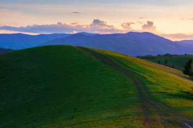 Karpatya dağlarının kırsal manzarası. Baharda gün batımında güzel doğa arka planı. Çimenli tepelerdeki ağaçlar ve uzak tepenin üstündeki tüylü bulutlar.