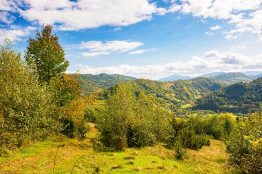 Tepedeki çimenli çayır. Sonbaharda ormanlı dağlarla dolu renkli kırsal alan. bulutlu hava 