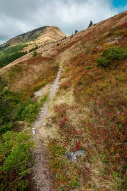 Noktalı ışıkta zirveye giden yol. Dağlarda güzel bir sonbahar manzarası yamaçta renkli çayırlar var. Tepenin üstündeki mavi gökyüzünde bulutlar
