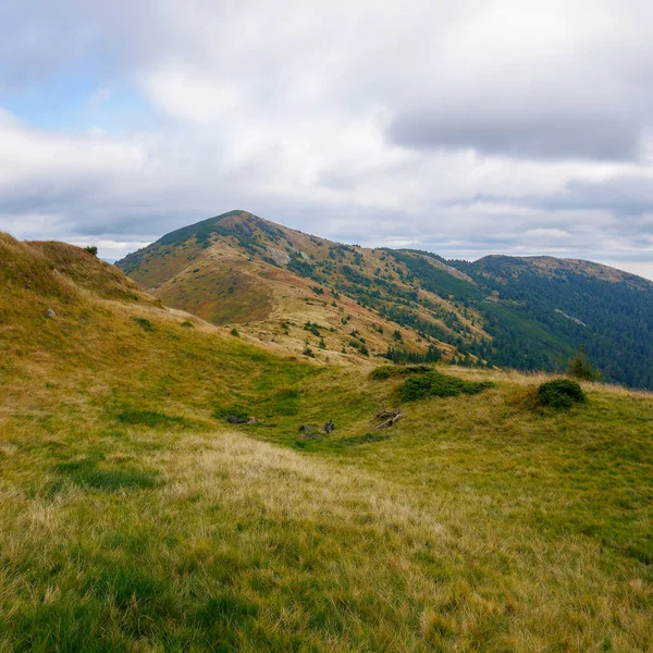 Paisaje Montañoso Los Cárpatos Otoño Paisaje Naturaleza Con Hierba Colores — Foto de Stock