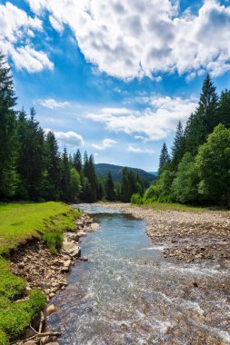 Dağ nehri kırsal vadiden geçiyor. Yazın güzel yeşil doğa manzarası. Güneşli bir günde çimenli sahilde taşlar. Mavi gökyüzündeki bulutlar