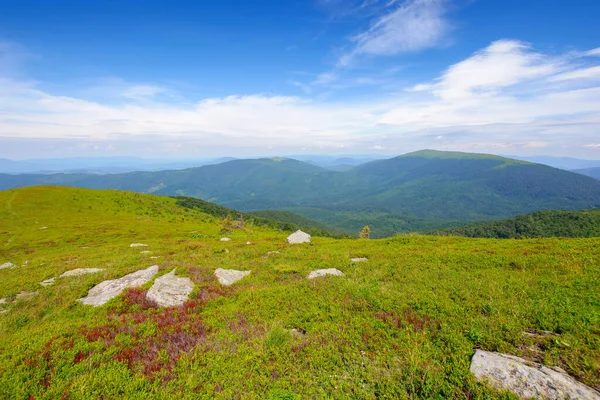 Carpathian Mountain Landscape Summer View Distant Valley Grassy Meadows Forested — Stock Photo, Image