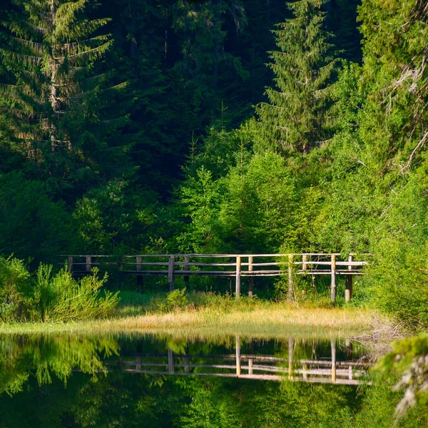 Dřevěný Most Nad Rybníkem Lese Klidné Přírodní Scenérie Létě Odrážející — Stock fotografie