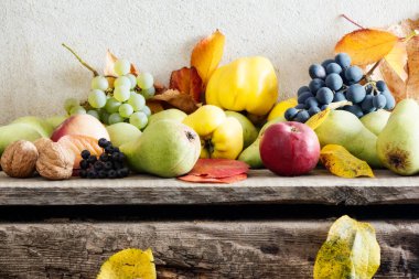 Tahta üzerinde kırsal hasat. Bir sürü olgun meyve. organik sağlıklı yiyecek ve kırsal yaşam bileşimi
