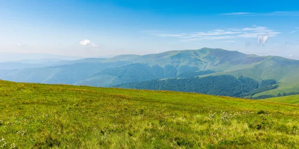 Výhled Pohoří Borzhava Létě Krásná Příroda Transkarpatie Ukrajina Evropa Krajina — Stock fotografie
