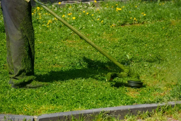 grass maintenance in the park. cutting weeds on a sunny day. professional lawn care service