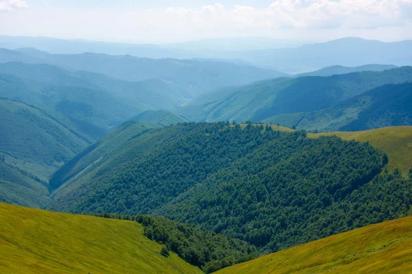 Dağlarda Yaz Manzarası Uzak Yeşil Vadiye Bakın Çimenli Çayırlar Orman — Stok fotoğraf