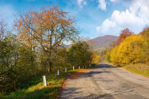 Countryside Road Autumn Mountainous Scenery Warm Sunny Day Forest Way — 图库照片