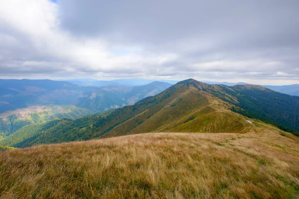 Mountain Landscape Cloudy Autumn Day Peak Distance Grassy Meadows Forested — Fotografia de Stock