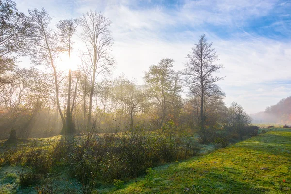 Landscape Forest Meadow Morning Mist Mountainous Rural Scenery Misty Sunrise — Stockfoto