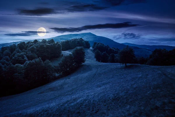 Stunning Mountain Landscape Summer Night Forested Hills Grassy Meadows Full — 图库照片