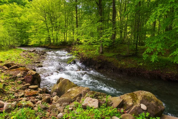 Schneller Wasserfluss Buchenwald Grüne Landschaft Mit Felsen Und Bäumen Ufer — Stockfoto