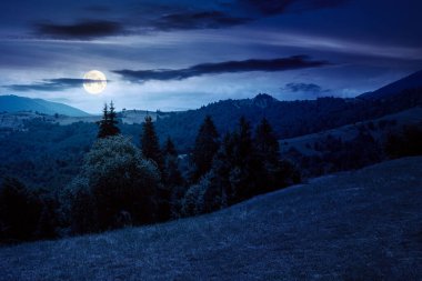countryside landscape at night in summer. forested hills and grassy meadows in mountains. scenery with fluffy clouds on the sky in full moon light