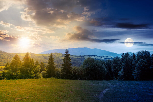 coniferous forest on the hill at daybreak. day and night time change concept. green summer nature scenery in carpathian mountains with sun and moon. sunny weather with clouds above the distant ridge