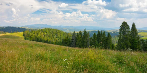 Carpathian Countryside Landscape Summer Fields Forest Rolling Hill Mountain Ridge — Stock Photo, Image