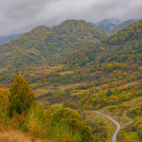 Countryside Landscape Mountains Overcast Weather Autumn Trees Colorful Foliage Hills — Stock fotografie