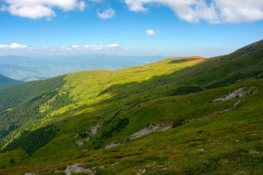 Karpat Dağları 'nın yeşil yamaçları. Güneşli bir günde yaz manzarası. Çimenli tepeler ve çayırlar. Uzakta tepe