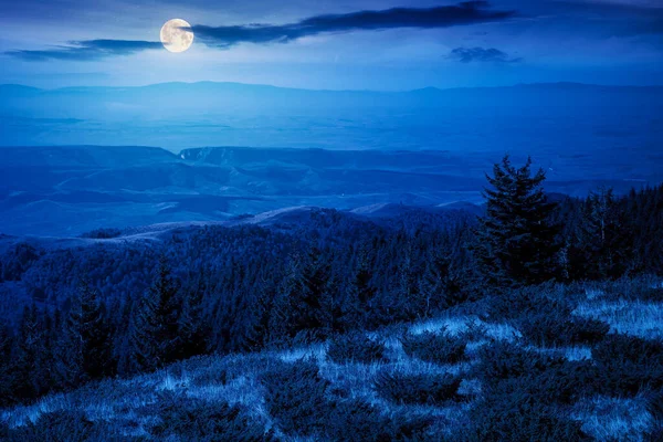 Mountain Landscape Forested Hill Night Arieseni Mountains Romania Full Moon — Stock fotografie