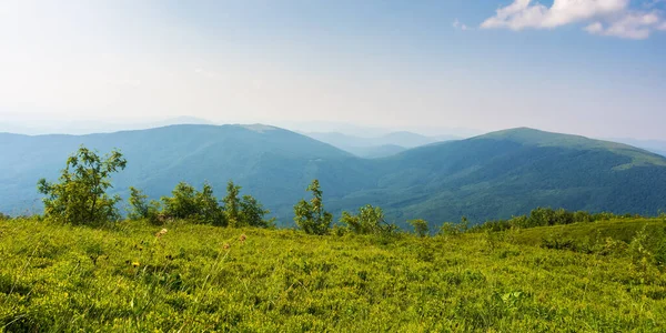 Grassy Meadow Sunny Afternoon Beautiful Carpathian Landscape Summer View Distant — Stock Photo, Image