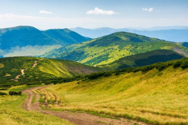 Carpathian Ulusal Parkı 'nın sırtından geçen yol. Ukrayna 'nın dağ manzarası, yazın Avrupa. Güzel bir açık hava manzarası. yerli turizm ve yürüyüş konsepti. Çimenli tepeler ve çayırlar güneşli bir günde