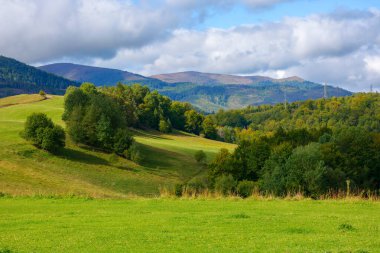 countryside landscape in mountains. trees on the grassy rolling hills. sunny autumn weather. borzhava ridge in the distance. transcarpathia region, ukraine