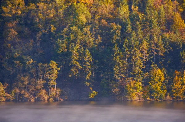 Mountain Lake Sunny Autumn Morning Forest Colorful Foliage Hill Fog — Fotografia de Stock