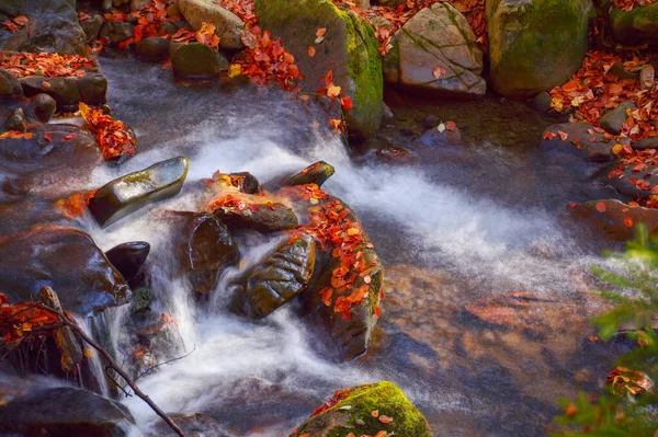 Flujo Agua Entre Las Rocas Musgosas Hermoso Fondo Natural Día —  Fotos de Stock