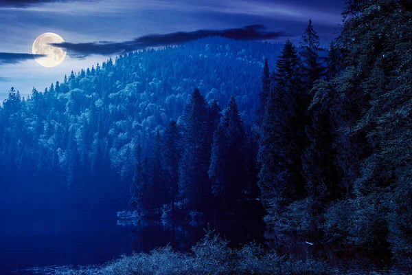 Wild Lake Coniferous Forest Night Beautiful Nature Landscape Carpathian Mountains — Stock Photo, Image