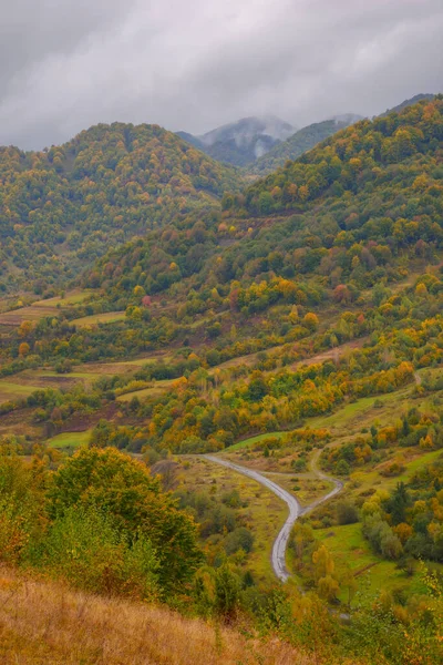 Сільський Пейзаж Горах Похмура Погода Восени Дерева Барвистому Листі Пагорбах — стокове фото