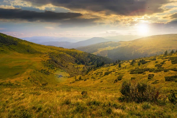 Carpathian Mountain Range Summer Sunset Landscape Forested Hills Grassy Meadows — Stock fotografie