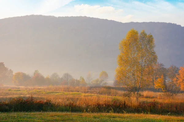 Countryside Scenery Fields Meadows Trees Colorful Foliage Mountain Distance Hazy — Stock fotografie