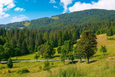 Orman dağları bir yaz günü. Yol boyunca ağaç var. Tepelerin üstündeki bulutlar. Karpatya kırsalını keşfetmek