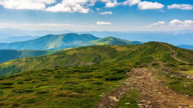 Carpathian Ulusal Parkı 'nın sırtından geçen yol. Ukrayna 'nın dağ manzarası, yazın Avrupa. Güzel bir açık hava manzarası. yerli turizm ve yürüyüş konsepti. Çimenli tepeler ve çayırlar güneşli bir günde