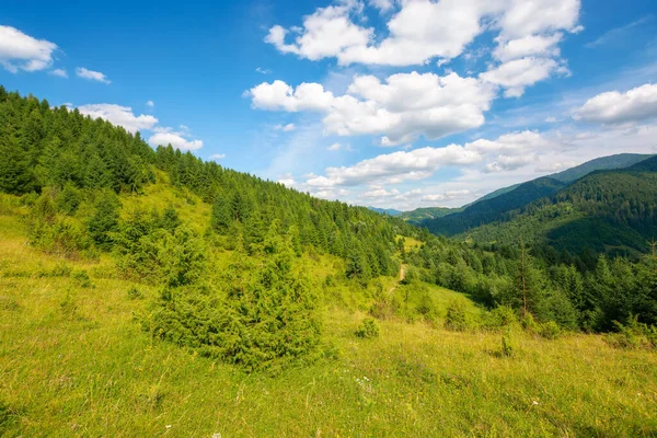 Mountainous Rural Landscape Summertime Wonderful Countryside Scenery Carpathians Forested Hills — 图库照片