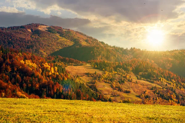 Горный Пейзаж Осенью Закате Прекрасная Сельская Местность Деревьями Красочных Листьях — стоковое фото